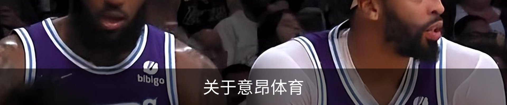 关于意昂体育
